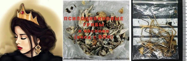 мескалин Пестово