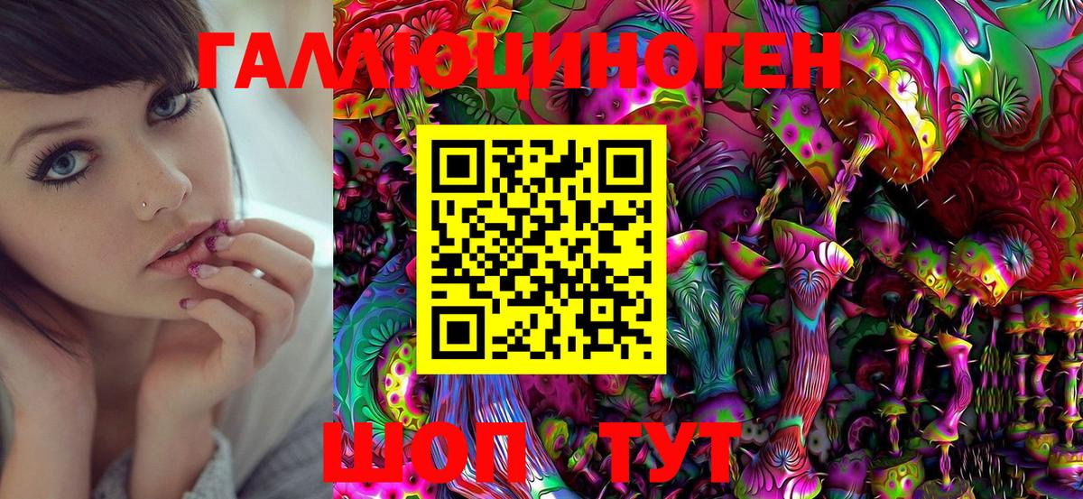 Галлюциногенные грибы Psilocybe  Галлюциногенные грибы Psilocybine cubensis  наркошоп  Удомля 