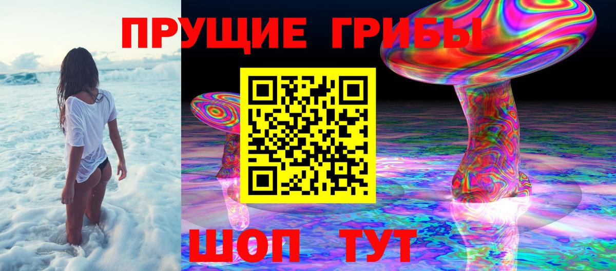Удомля  Галлюциногенные грибы GOLDEN TEACHER  Галлюциногенные грибы GOLDEN TEACHER  продажа наркотиков  Вход с VPN 
