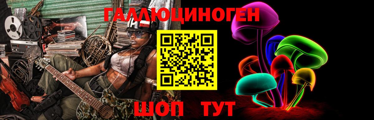 Галлюциногенные грибы Psilocybe Удомля